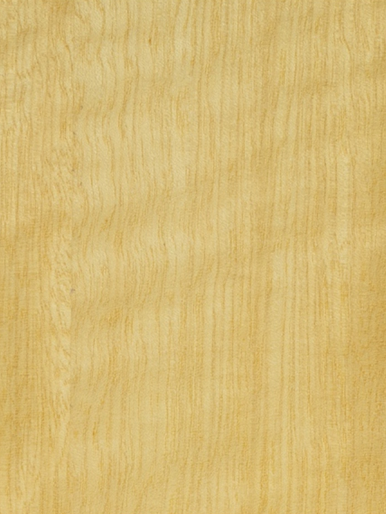 Golden Figured Wood